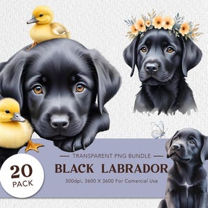 Watercolor Black Lab PNG Bundle – Labrador Retriever Clipart, Dog Mom SVG, Gifts for Black Lab Lovers, Personal Dog Lover Gift