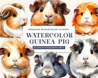 Realistic Watercolor Guinea Pig PNG Bundle, 30 High-Res Cavy Clipart, Pet Memorials, Sublimation