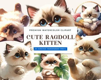 Watercolor Ragdoll Kitten Clipart: 30 Blue-Eyed Cat PNGs (Commercial Use)