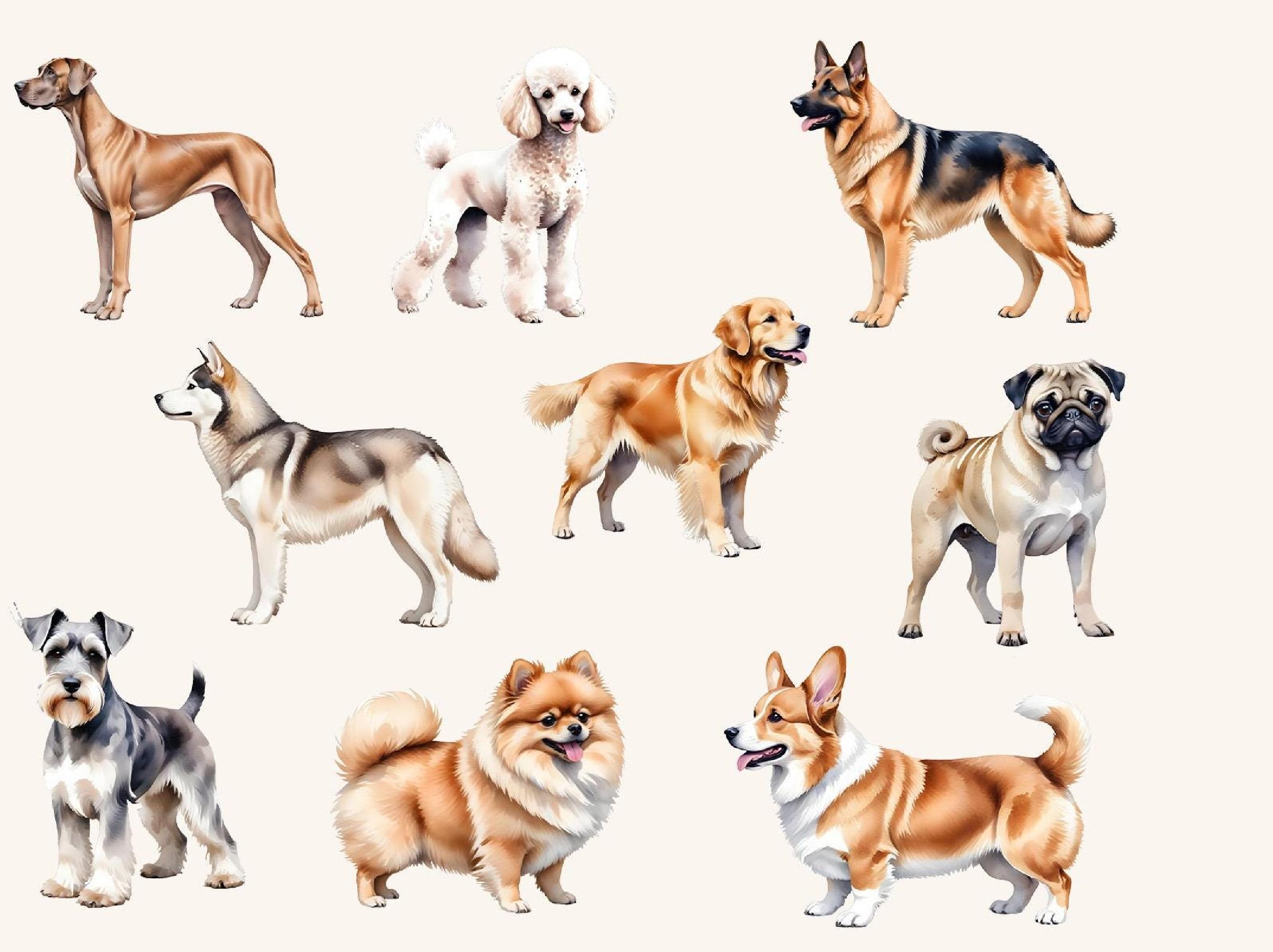 Watercolor Dog PNG Bundle 36 Clipart Images for Sublimation Stickers ...