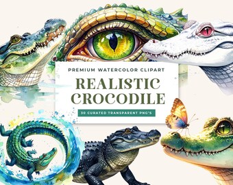 Realistic Watercolor Crocodile Clipart Bundle, 30 PNG Swamp Animal Graphics (Commercial Use)