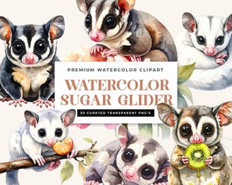 Watercolor Sugar Glider Clipart – Kawaii Exotic Pet PNG Bundle (Digital Download)