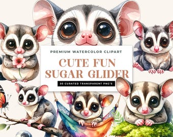 Watercolor Sugar Glider Clipart Bundle | Big Eye Exotic Pet PNGs (Digital Download)