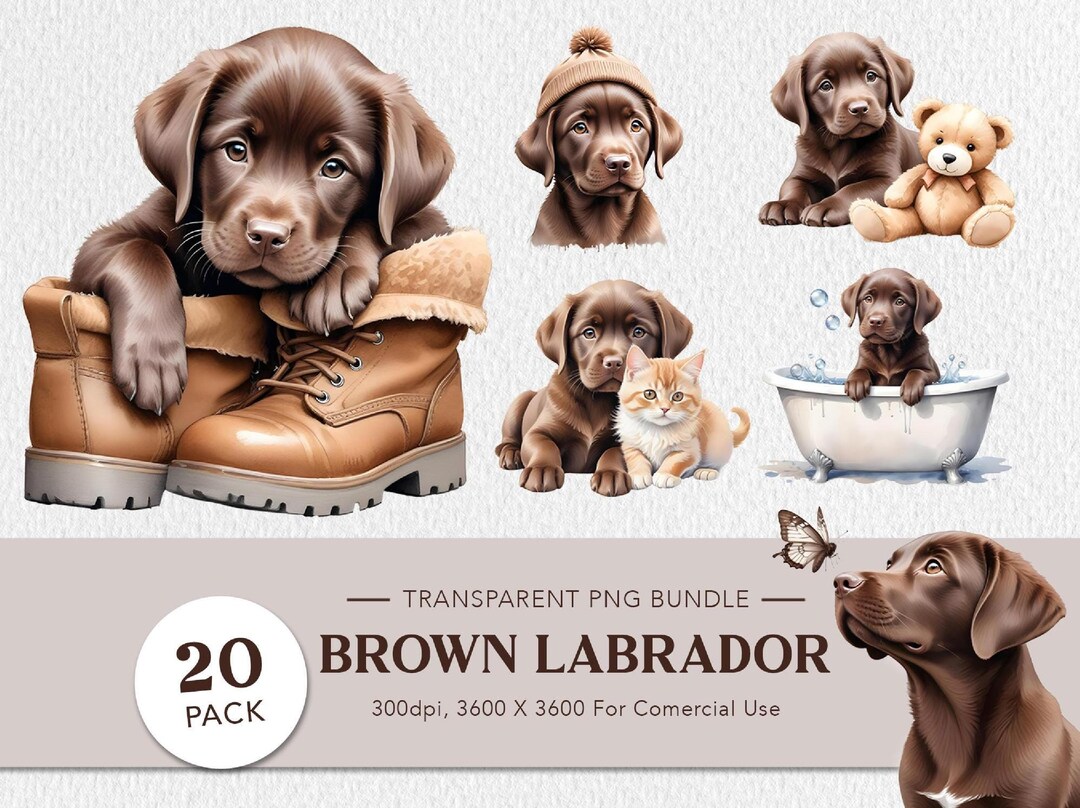 Boho Chocolate Labrador Dog Brown Puppy Watercolor Clipart PNG Bundle ...