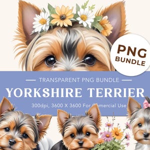 Cute Yorkie PNG Bundle | Watercolor Yorkshire Terrier Clipart | Sublimation Stickers Crafts Digital Download