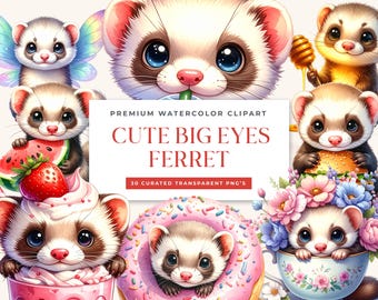 Big Eye Ferret Watercolor Bundle, 30 PNG Animal Clipart for commercial use
