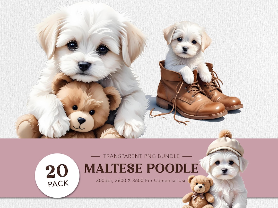 Maltese Dog Watercolor Clipart Bundle: Puppy Art PNG (instant Download ...
