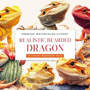 Realistic Bearded Dragon Watercolor Clipart Bundle (Digital Download)
