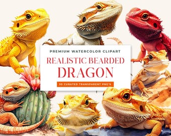 Realistic Bearded Dragon Watercolor Clipart Bundle (Digital Download)