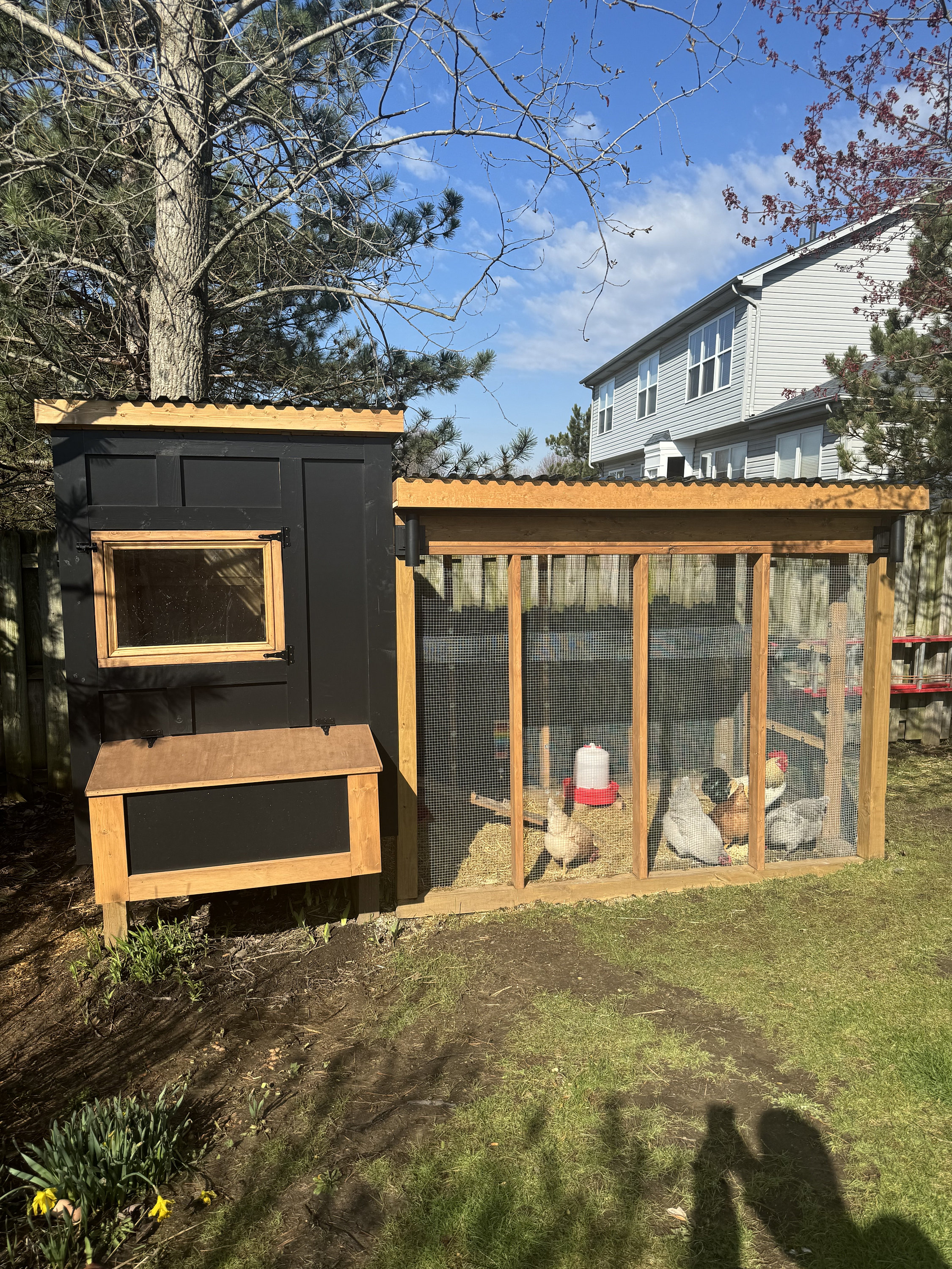 Simple Chicken Barn Chicken Barn Diy