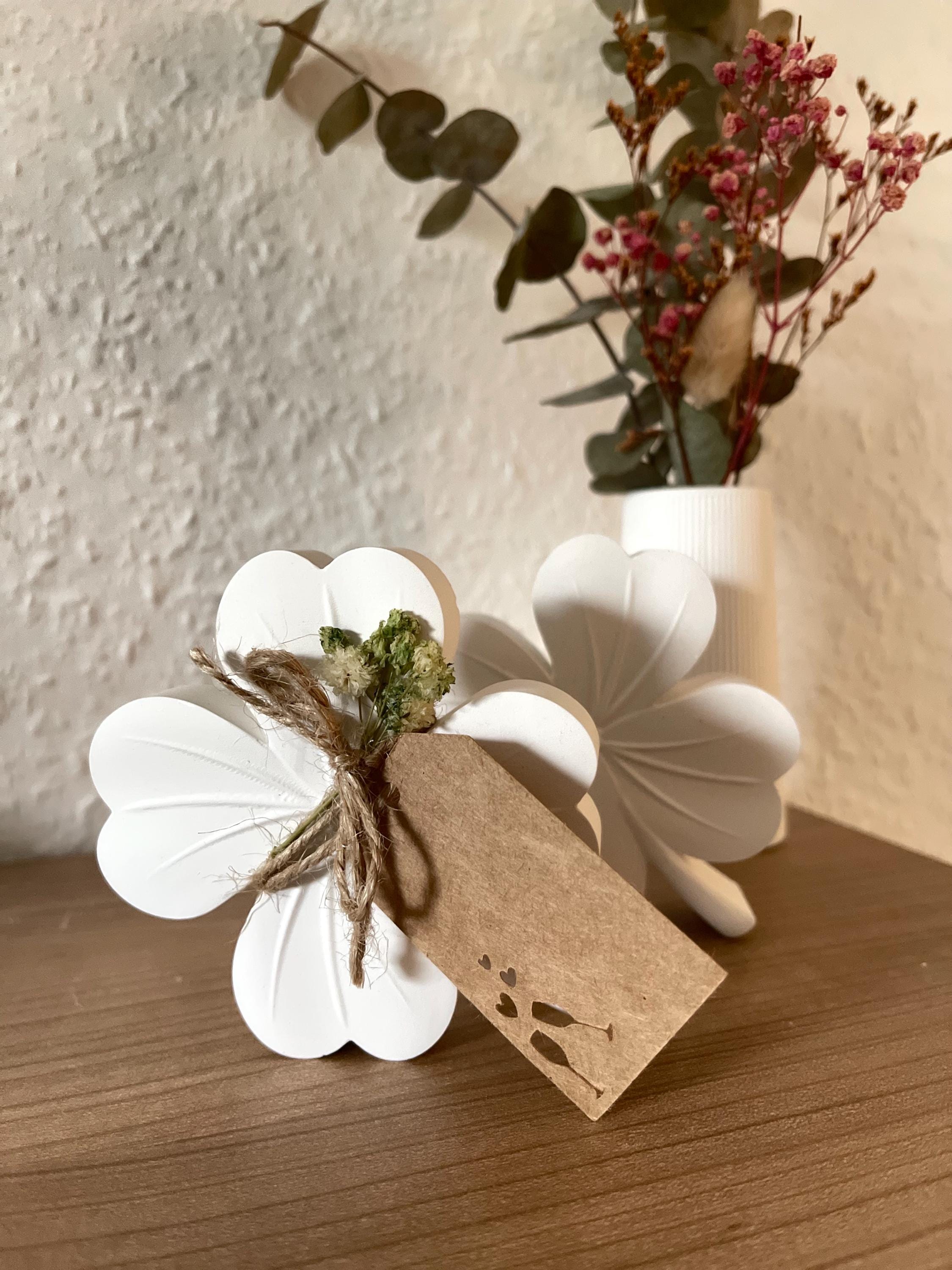 clover, lucky clover, lucky charm, New Year's gift, exam, encouragement