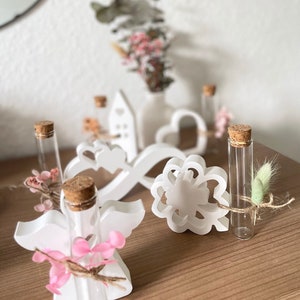 Geldgeschenk Reagenzglas - Wunscherfüller Reagenzglas - Geburtstag - Hochzeit - Taufe - Reagenzglas