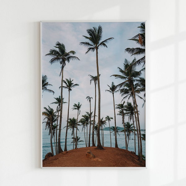 Coconut Tree Hill Mirissa Sri Lanka fotografie afdrukken | Kunst aan de muur reisfotografie Oceaan strand en palmbomen Sri Lanka posters