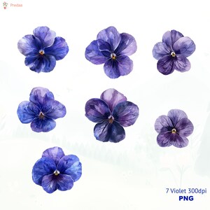Flor del mes de nacimiento de febrero, Flor del mes de nacimiento png, Flor de nacimiento personal png, Imágenes prediseñadas de flores de nacimiento personales, Imágenes prediseñadas de acuarela violeta,