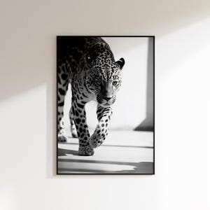 Affiche rétro léopard, art mural léopard, affiche jaguar, tirages noir et blanc, photographie vintage, photo de mode, art mural, impression de vieux billets de Cartier