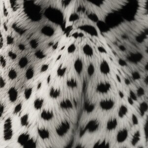 May include: Close-up of a black and white animal fur pattern. The fur is soft and fluffy, with black spots on a white background.