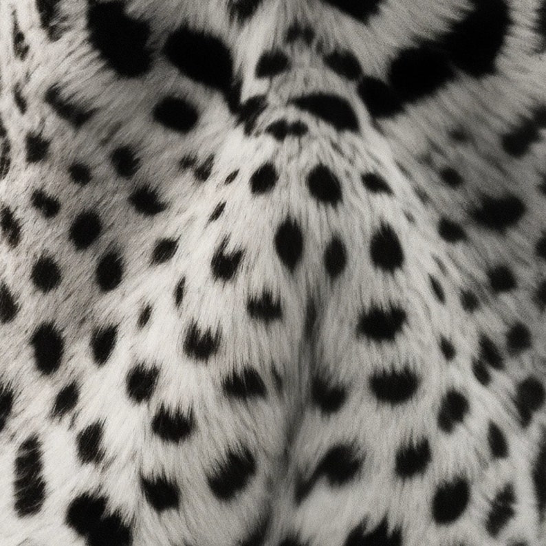 May include: Close-up of a black and white animal fur pattern. The fur is soft and fluffy, with black spots on a white background.