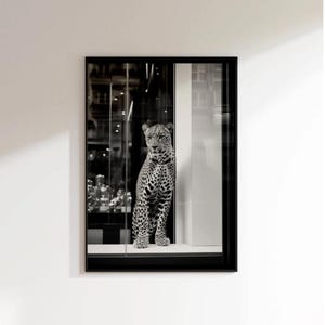 Photo de vitrine léopard, affiche de guépard, noir et blanc, photographie vintage, photo de mode, art mural, affiche sans cadre, haute définition