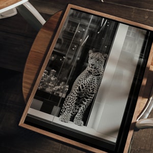 May include: A black and white photograph of a leopard in a window. The leopard is looking at the camera. The photo is framed in a wooden frame.