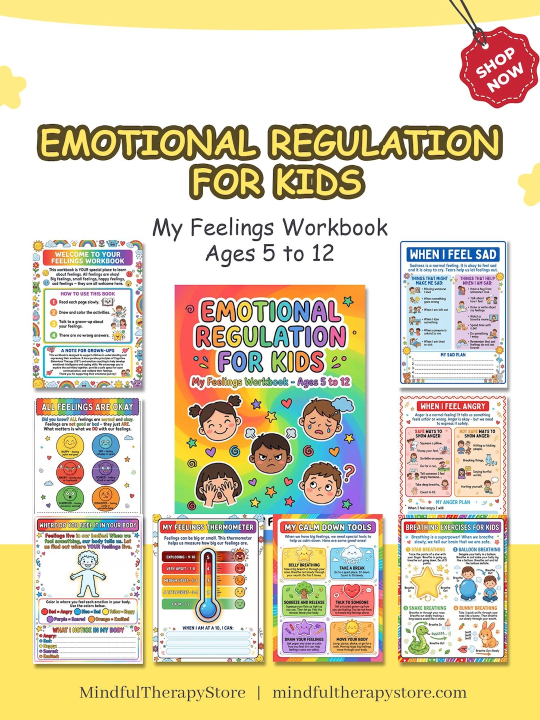 Emotion Regulation Workbook for Kids | DBT, CBT, Feelings Wheel (PDF ...