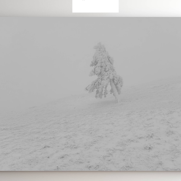 Frozen Tree, snow photograph, frozen landscape, snow forest, Balkan, Bulgaria, forest, winter wonderland, panoramic wall art