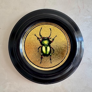 Pintura de escarabajo, insecto, arte original, pintura al óleo de animales, arte mural de insectos, arte de la naturaleza, pintura de pan de oro, insecto verde, pintura de escarabajo verde