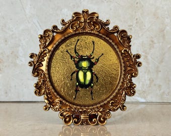 Pintura al óleo original de un escarabajo verde: Arte mural de insectos con pan de oro.