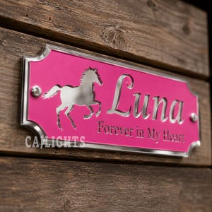 May include: A rectangular pink plaque with silver metallic edges and silver screws, featuring a mirrored silhouette of a horse on the left, the name "Luna" in large script, and the text "Forever in My Heart" in a smaller font below.
