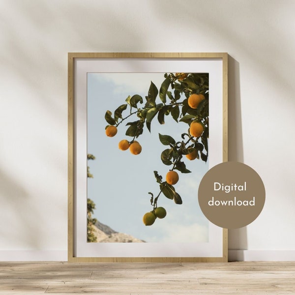 Photography, Greece, Lemons, Interior Design, Poster, Home Decoration, Art mural de Grèce, Art mural méditerranéen, Art mural imprimable