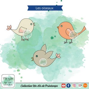 Les oiseaux  - Tampons digitaux