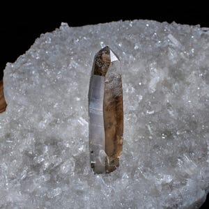 Russian lemurian - Etsy 日本