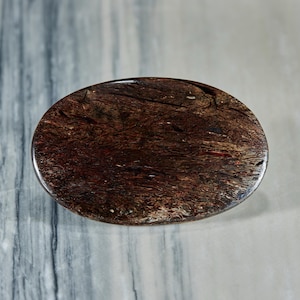 May include: Oval-shaped, polished stone with a rich, dark brown color and intricate veining. The surface has a glossy finish, highlighting the natural patterns within the stone. The stone is set against a light, marbled background.