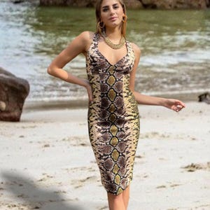 Python américain C.