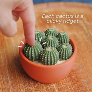 Pode incluir: Um vaso de cor terracota contendo seis pequenos brinquedos fidget verdes em forma de cacto esférico com espinhos brancos. O texto "Each cactus is a clicky fidget" está impresso acima. Cada cacto foi concebido para ser pressionado.