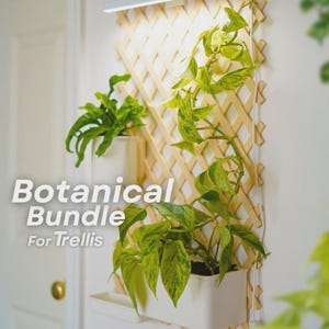 Puede incluir: Un enrejado de madera clara montado en una pared, con dos macetas rectangulares blancas que contienen plantas verdes. Una barra de luz LED blanca está fijada en la parte superior. El texto Botanical Bundle For Trellis es visible a la izquierda.
