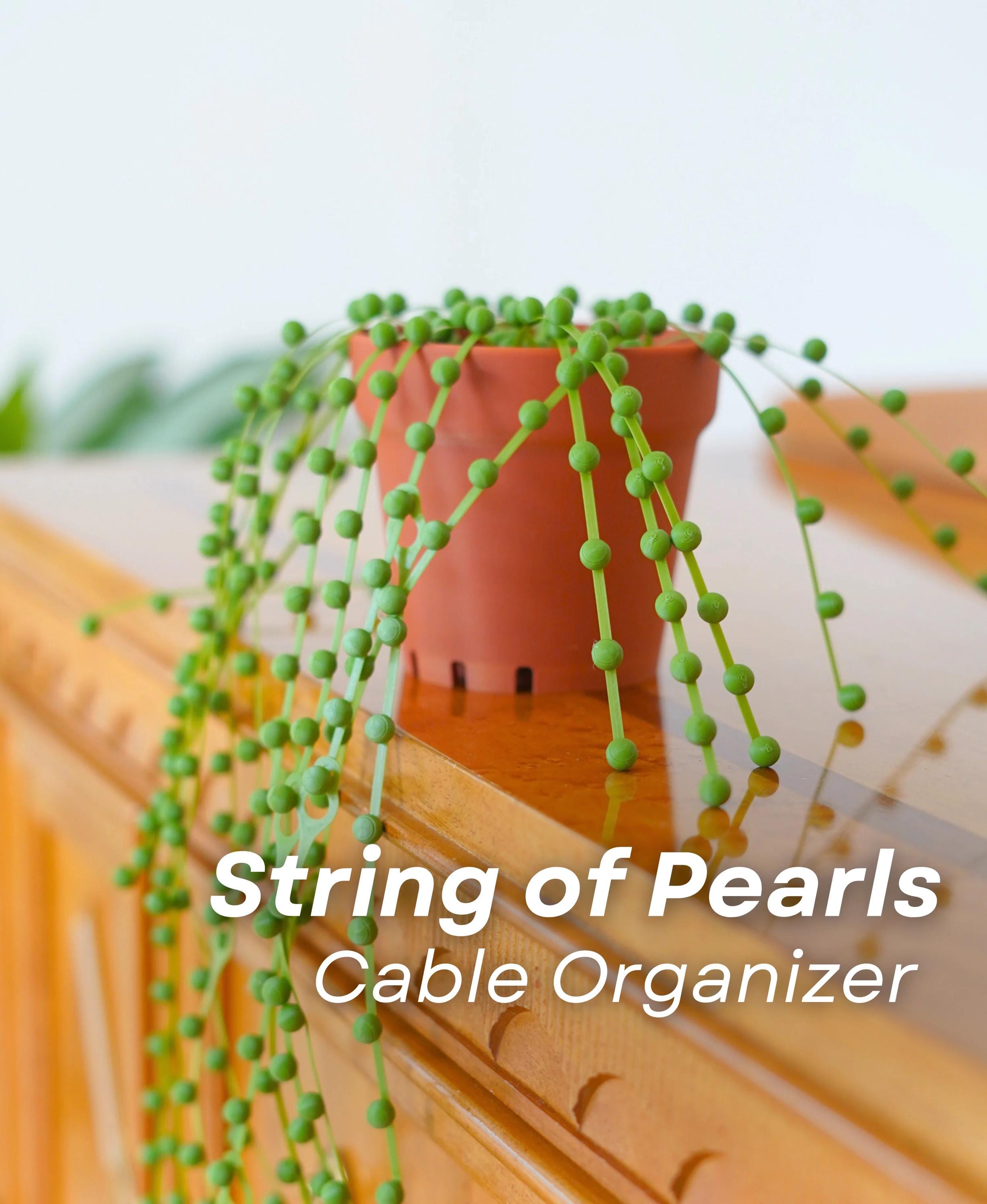 String of Pearls Cable Organizer | Plant-Inspired Cable Ties | Succulent Zip Ties | Desk Cord Management | Tech Accessories | ForgeCore