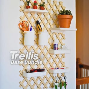 Puede incluir: Un enrejado de pared color madera clara con patrón de rejilla, equipado con estantes, recipientes y ganchos blancos. El expositor sostiene pequeños cactus en maceta, una suculenta, tijeras, herramientas, pegamento y llaveros. El texto dice Trellis Base Bundle.