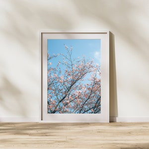 Pode incluir: Uma fotografia emoldurada em branco de uma cerejeira em flor com flores cor-de-rosa contra um céu azul.