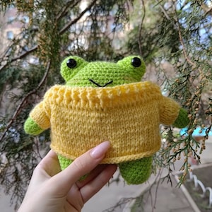 May include: A handmade crochet frog doll with a bright green body and a yellow sweater. The frog has black eyes and a stitched mouth. The doll is held in front of a blurred outdoor background.