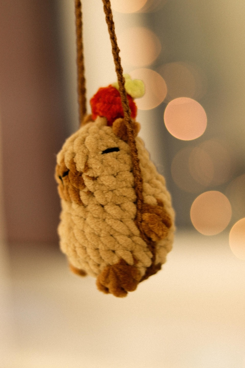 May include: A brown fuzzy plush toy with a red and green hat hanging from a brown rope swing.