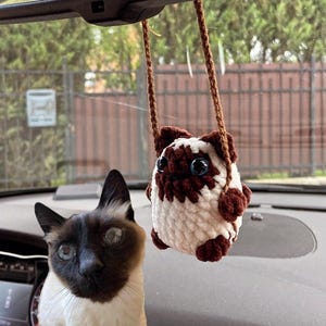 May include: A Siamese cat and a crocheted cat car charm. The charm is white with brown accents and blue eyes, hanging from a brown string. The cat is in a car, with a dashboard and a rearview mirror visible.