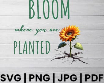 Sunflower SVG Design - Stay Rooted and Blossom Anywhere - Perfect for T-Shirts and Crafts