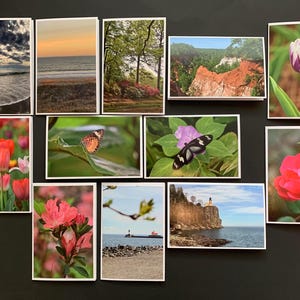 Cartes de correspondance vierges assorties
