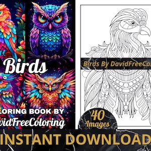 40 Birds Coloring Book Birds Coloring Images for Adult Coloring Pages Colorful Birds printable coloring book gift for adult PDF Download PNG