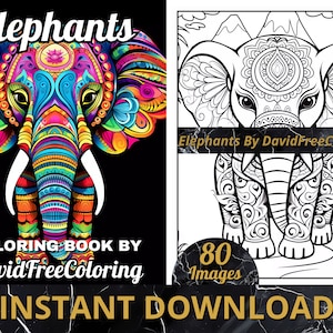 80 Elephant Coloring Book Elephant Image for Adult Coloring Page Beautiful Elephants printable coloring book gift for adult PDF Download PNG
