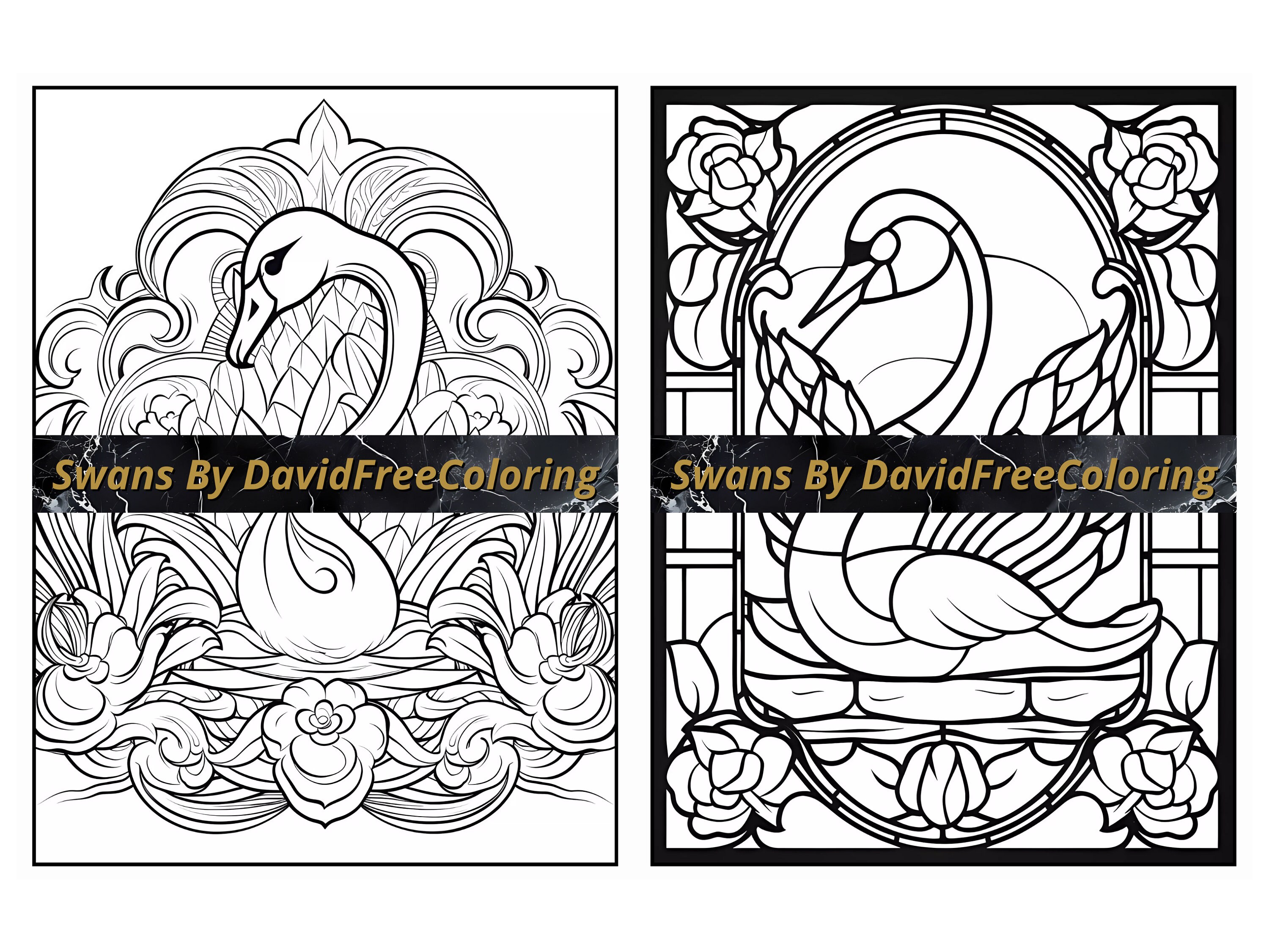 40 Swans Coloring Book Swans Coloring Image for Adult Coloring Pages ...