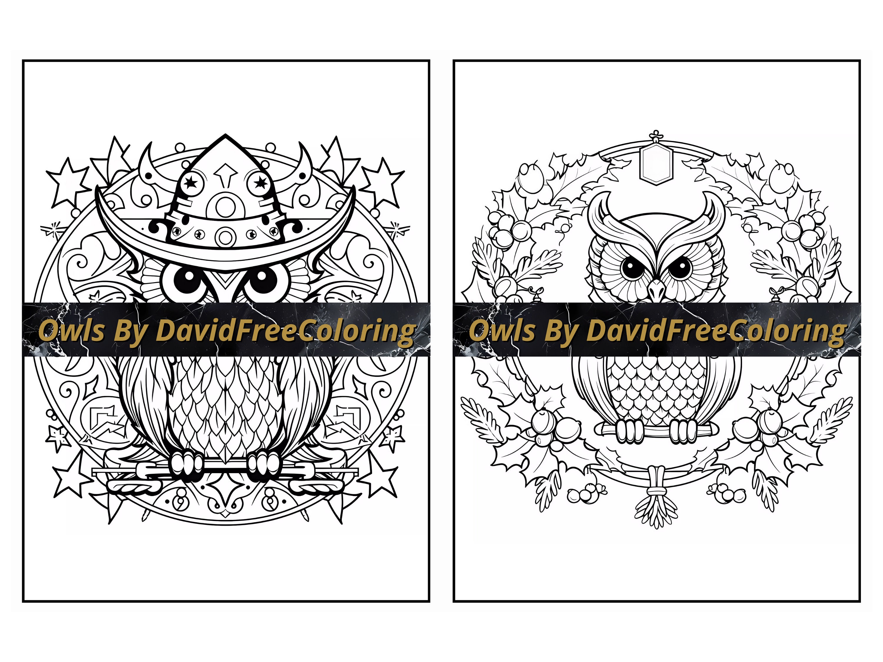 80 Owls Coloring Book Cute Owls Images for Adult Coloring Pages ...