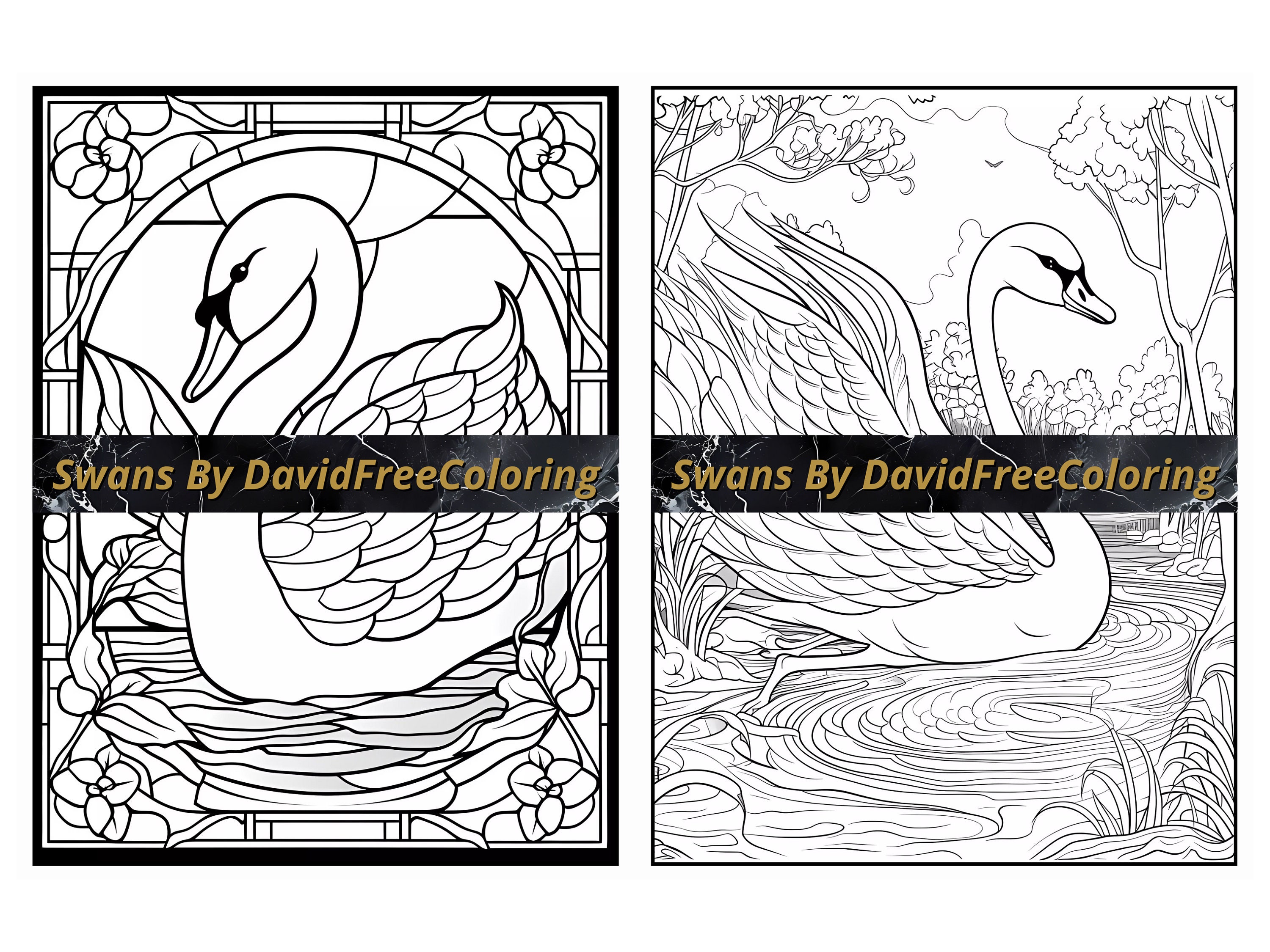 40 Swans Coloring Book Swans Coloring Image for Adult Coloring Pages ...
