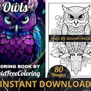 80 Owls Coloring Book Cute Owls Images for Adult Coloring Pages Adorable Owls printable coloring book gift for adult PDF download PNG