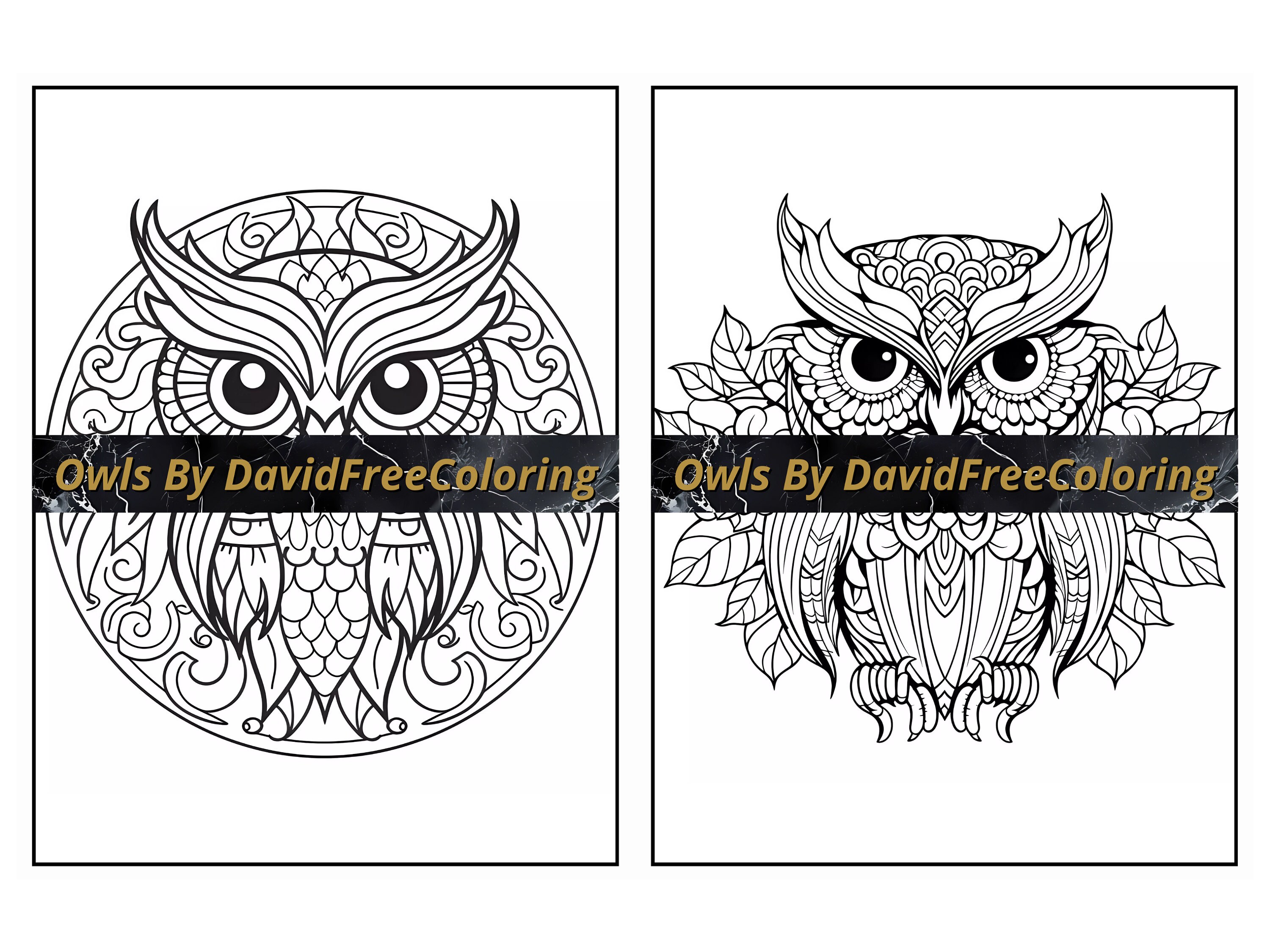 80 Owls Coloring Book Cute Owls Images for Adult Coloring Pages ...